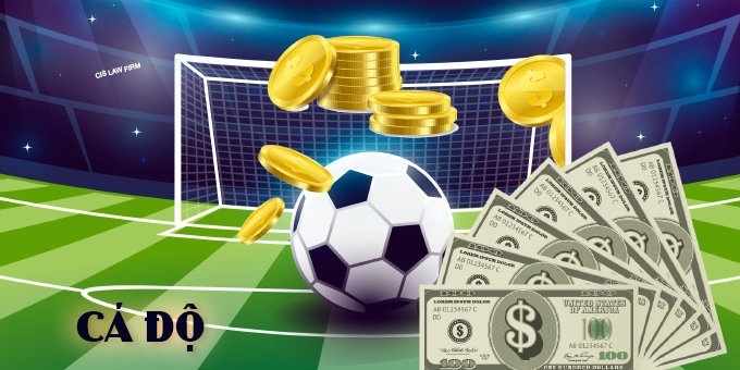 Cá cuoc bóng đá: Tìm hiểu chi tiết về các loại cá cược bóng đá