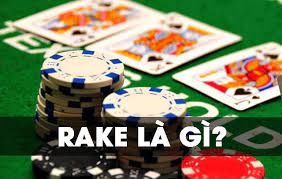 Rake là gì? Tầm quan trọng và ảnh hưởng của rake trong Poker