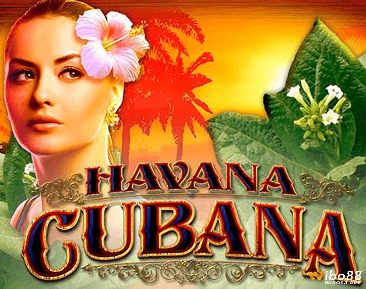 Link tải Havana Cubana