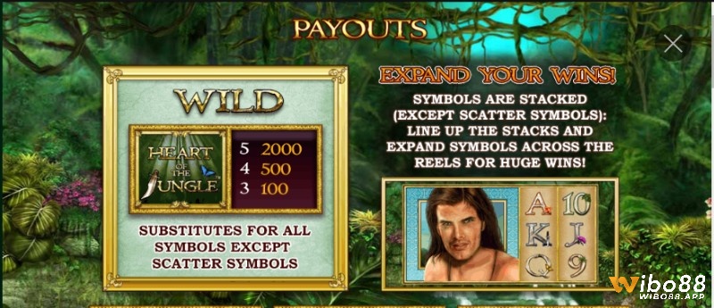 Biểu tượng Wild thay thế cho tất cả các biểu tượng trừ Scatter và mang các khoản thưởng